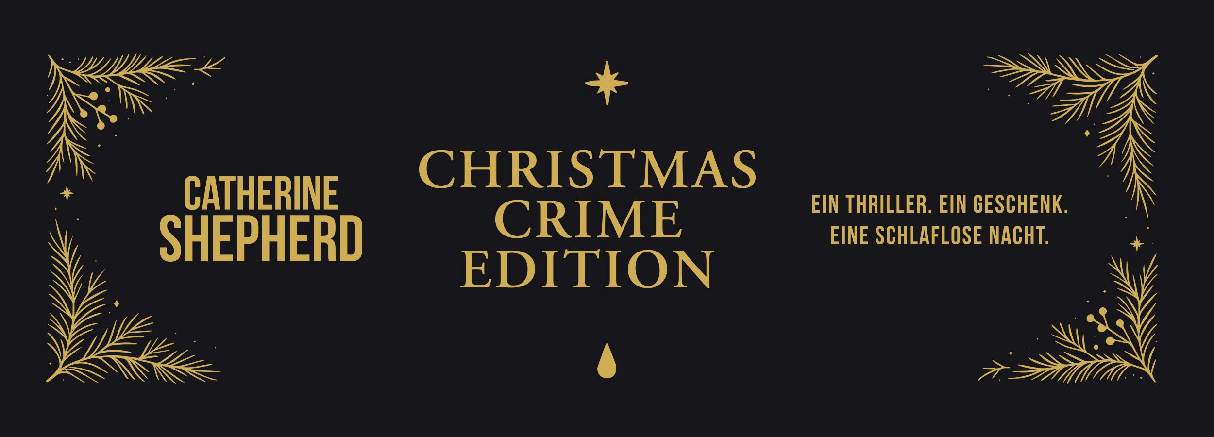 Shopify banner 2500x900 3